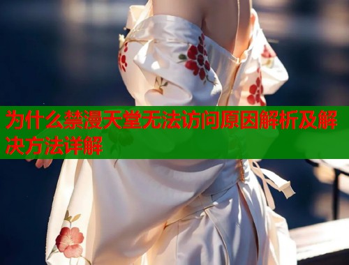 为什么禁漫天堂无法访问原因解析及解决方法详解  第1张