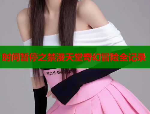 时间暂停之禁漫天堂奇幻冒险全记录  第2张